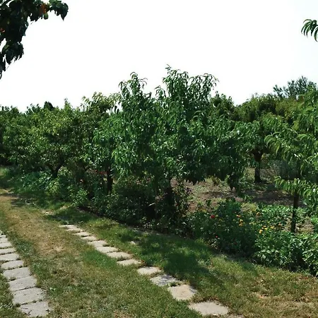Holiday Petofi Sandor Hrsz.-siofok Holiday home Siofok